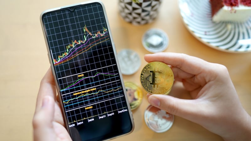 The Future of Vertex Trize Innovation and Impact