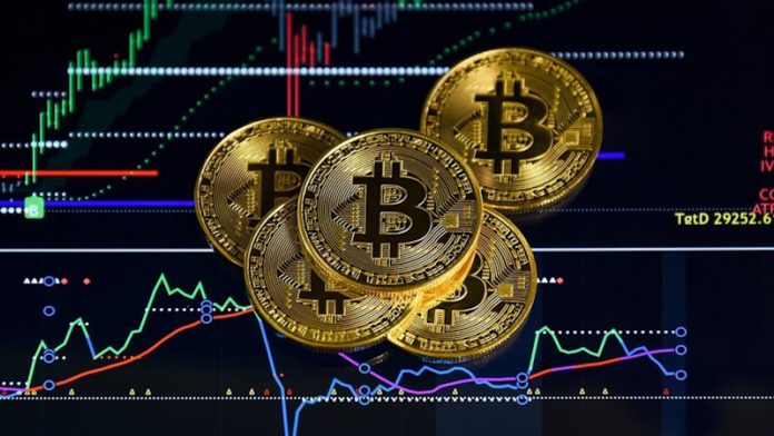 The Future of Vertex Trize Innovation and Impact